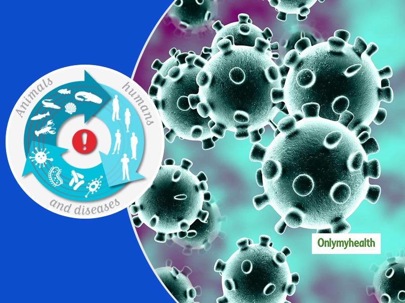 Zoonotic Diseases: Can Animals Transmit Infections To Humans, Experts Discuss