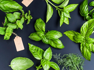 8 Incredible Health Benefits Of Basil Leaves 