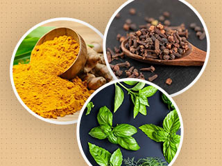  8 Hidden Ayurvedic Superfoods That Should Be A Part Of Your Herbs And Spices Box