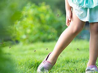 Know How To Prevent Dengue With These 8 Effective Home Remedies