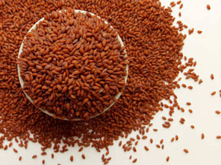 Eat Aliv Seeds For These 7 Amazing Health Benefits