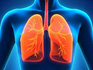  Boost Respiratory Health This Winter With These 8 Effective Home Remedies