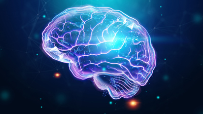 Scientists Find Brain Cells That Trigger Us To Eat Sugar And Fat