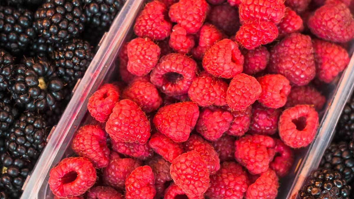 5 Healthy Breakfast Recipes With Raspberries
