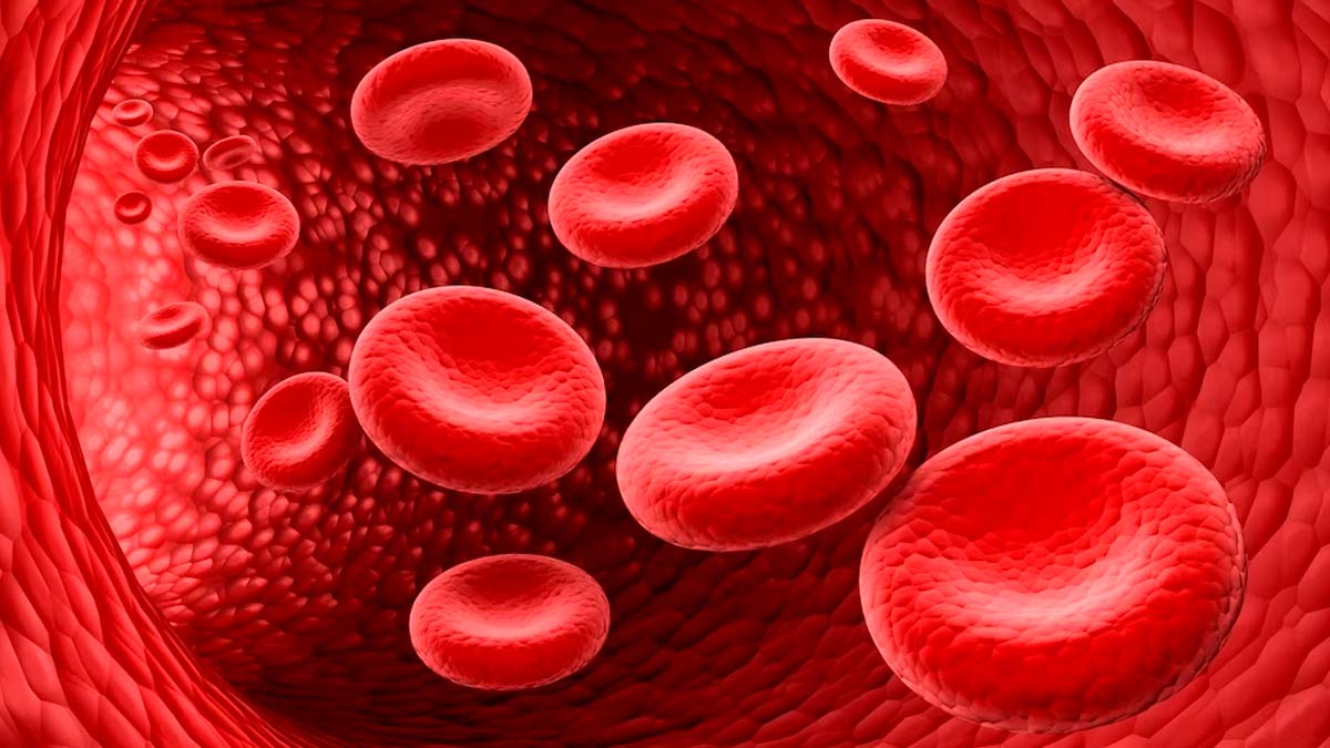 6 Home Remedies To Increase Platelet Naturally