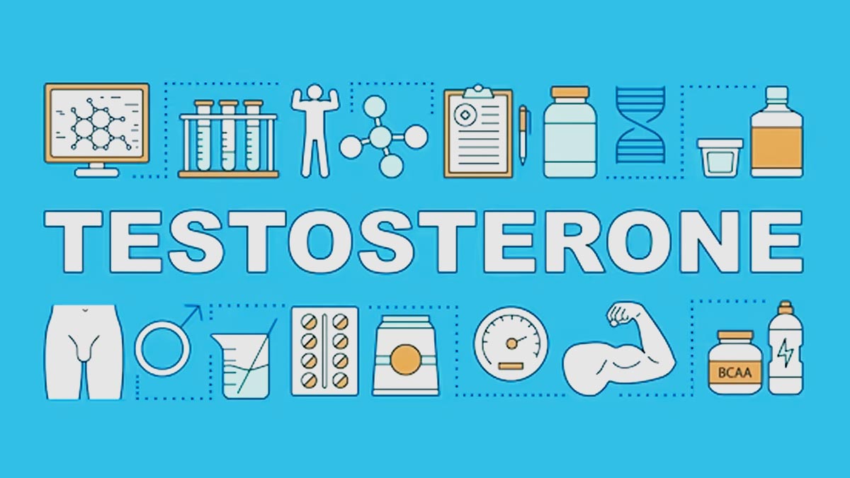 Testosterone Imbalance: Understanding Physical, Mental, And Financial Impact