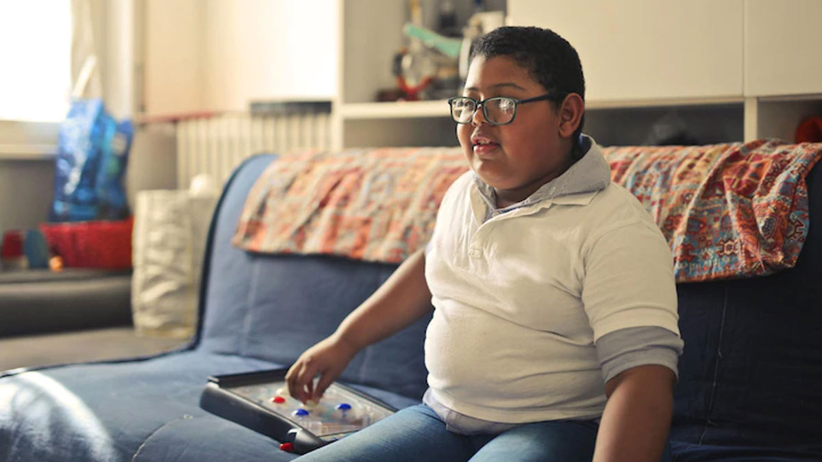 Obesity: 6 Key Risk Factors of Obesity in Children Aged 6 To 18 Years