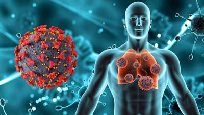 Breathe Easy: Herbs to Improve Respiratory Health Amidst Delhi's Air Pollution