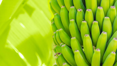 Here&rsquo;s How Green Bananas Can Boost Your Metabolism And Help You Lose Weight