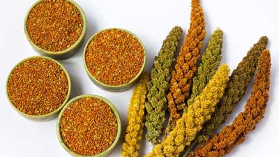 Best Millets to Consume for Lowering Blood Sugar Levels