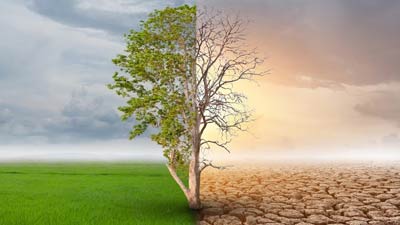 Fossil Fuel-Driven Climate Change Is Going To Kill Us: UN General Assembly