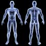 Symptoms of Haemorrhoids