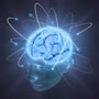 Brain Cells Developed from Human Pee