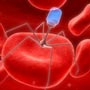 Leukaemia’s Effect on Blood Cells