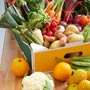 Beating Cancer with Nutrition