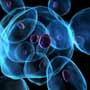 Gene that Causes Insomnia Discovered