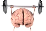Exercise may Protect Brain from Alcohol Damage