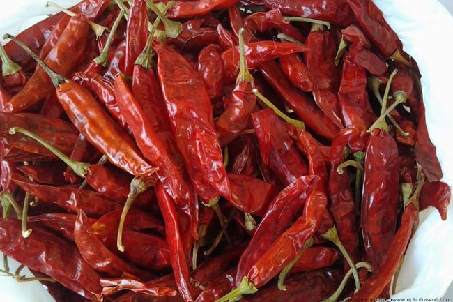 लाल मिर्च