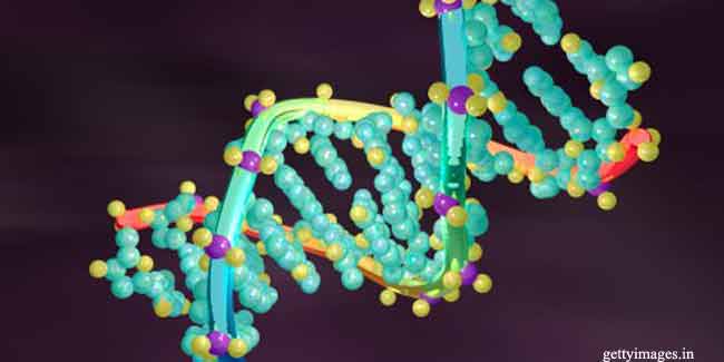 Five Psychiatric Disorders Share Genetic Link