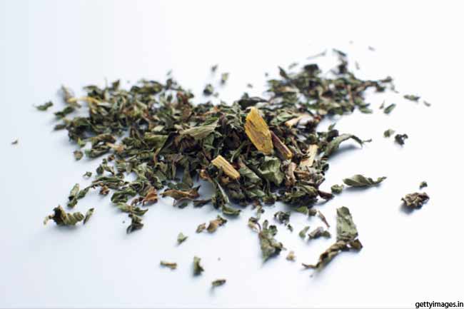 लीकोरिस हर्ब