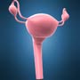 Facts about Female Reproductive System