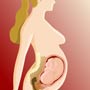 Process of Conception to Birth
