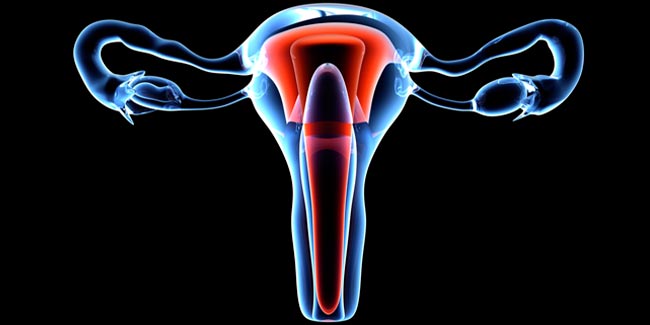 Side Effects Of Hysterectomy Sexual Health