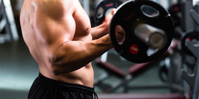 Does Strength Training Help you Gain Weight