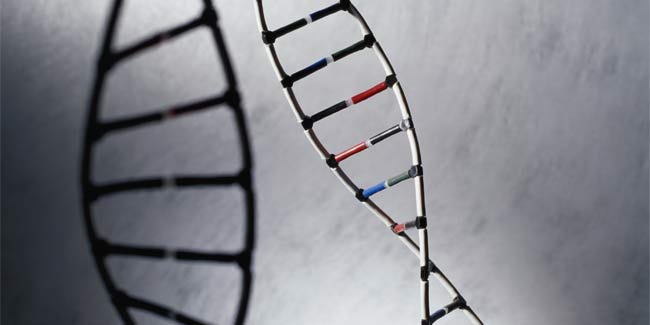 Genes behind Deadly Blood Cancer Found