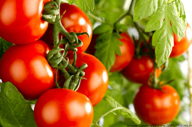 Tomatoes