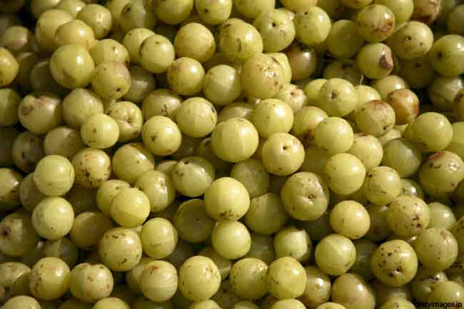 फायदेमंद आंवला