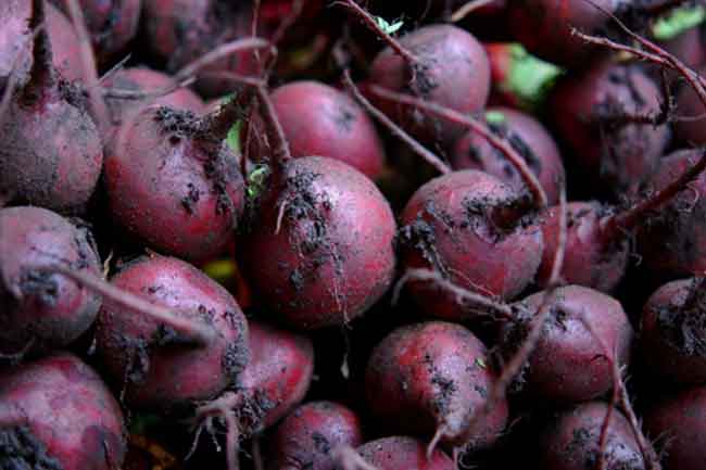 Beets