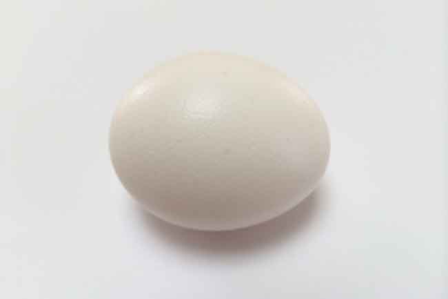 Eat Proteins to Lose Weight