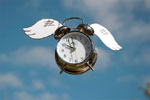 Japanese Researchers put together Internal Body Clock Puzzle Blocks