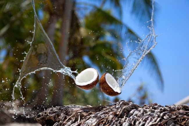 Coconut Water