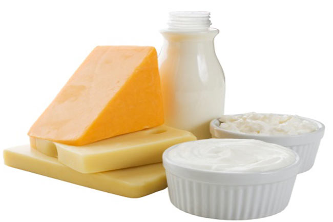 Cottage Cheese and Greek Yogurt