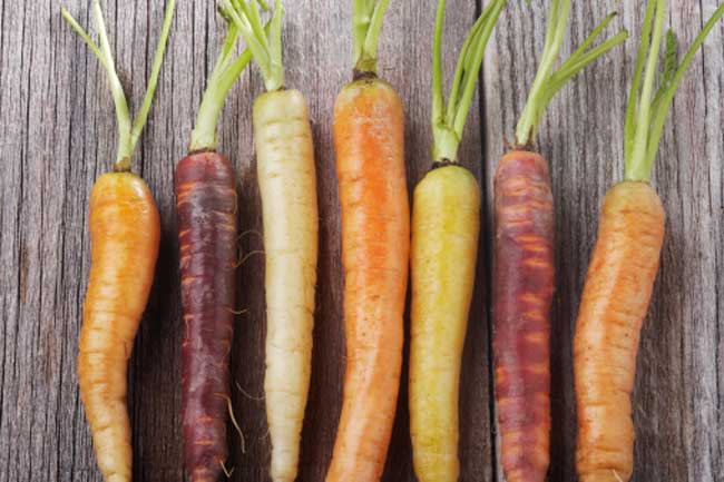 Carrots