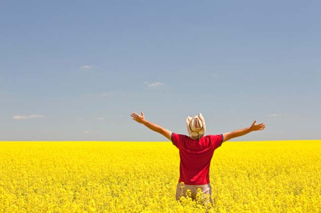 Meditate on Freeing Yourself