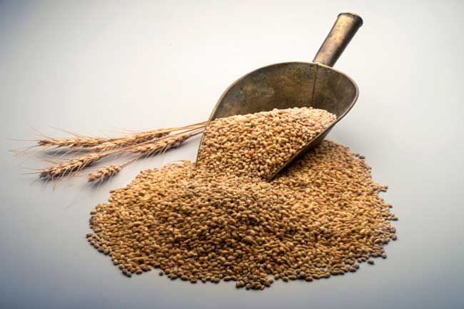अनाज
