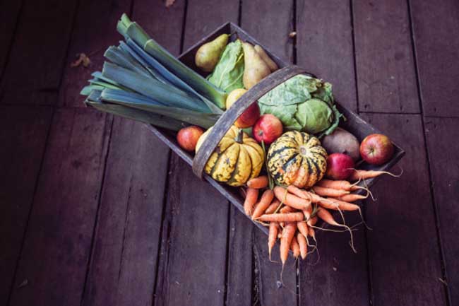 Organic Food Choices
