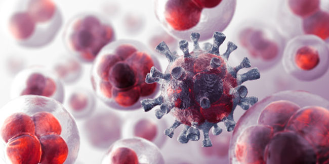 Know Each Stage of the Life of Malignant Tumour