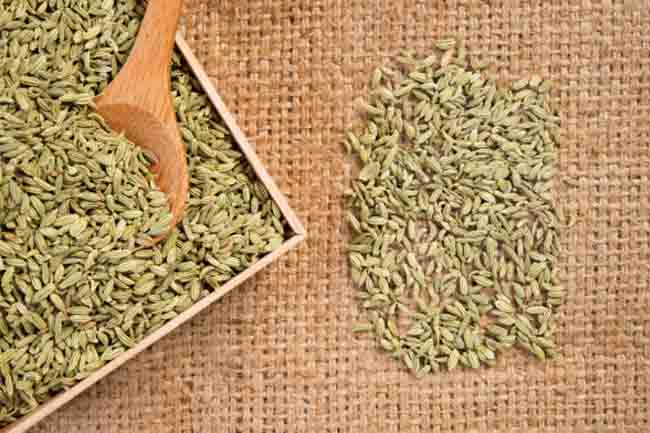 Fennel (Saunf)
