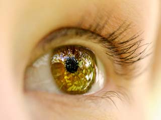 Stem cells in eye can restore vision, study