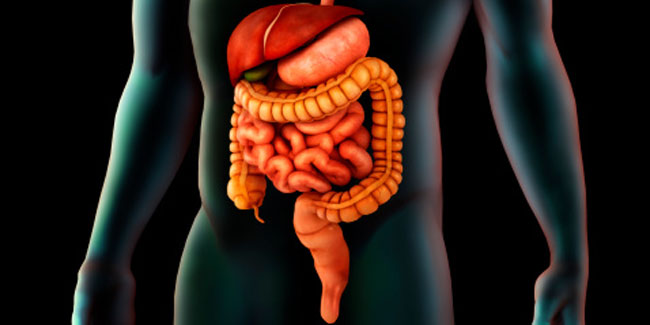 Points to Remember:Short Bowel Syndrome