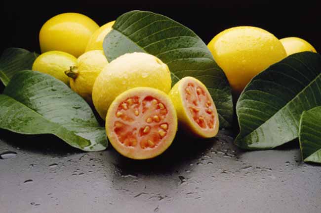 Vitamin C
