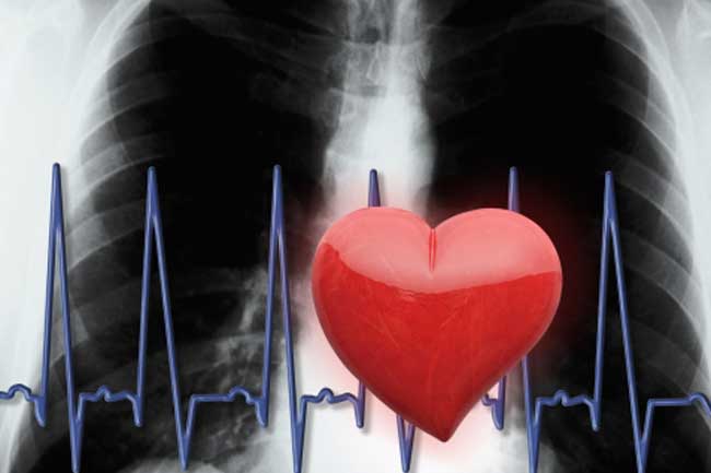 Affect On Lungs and Brain