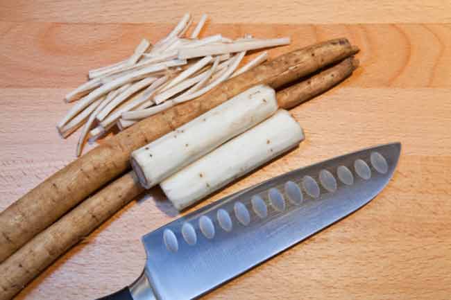 Burdock root