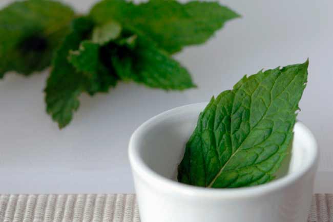 Peppermint