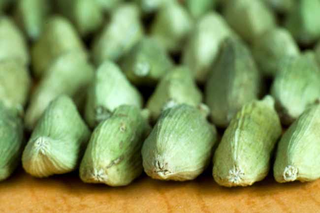 Cardamom