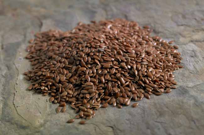 Flax Seeds